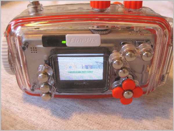 Fuji F700 Zoom with WP-FX700 Underwater Housing